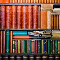 shelf full of books